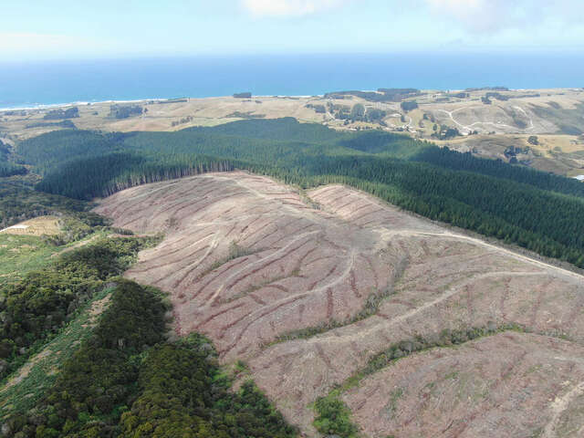 Taieri Beach Road