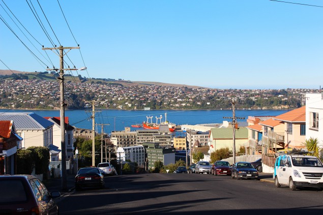 City Rise, Dunedin City