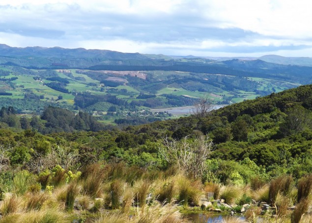 Waitati, East Otago