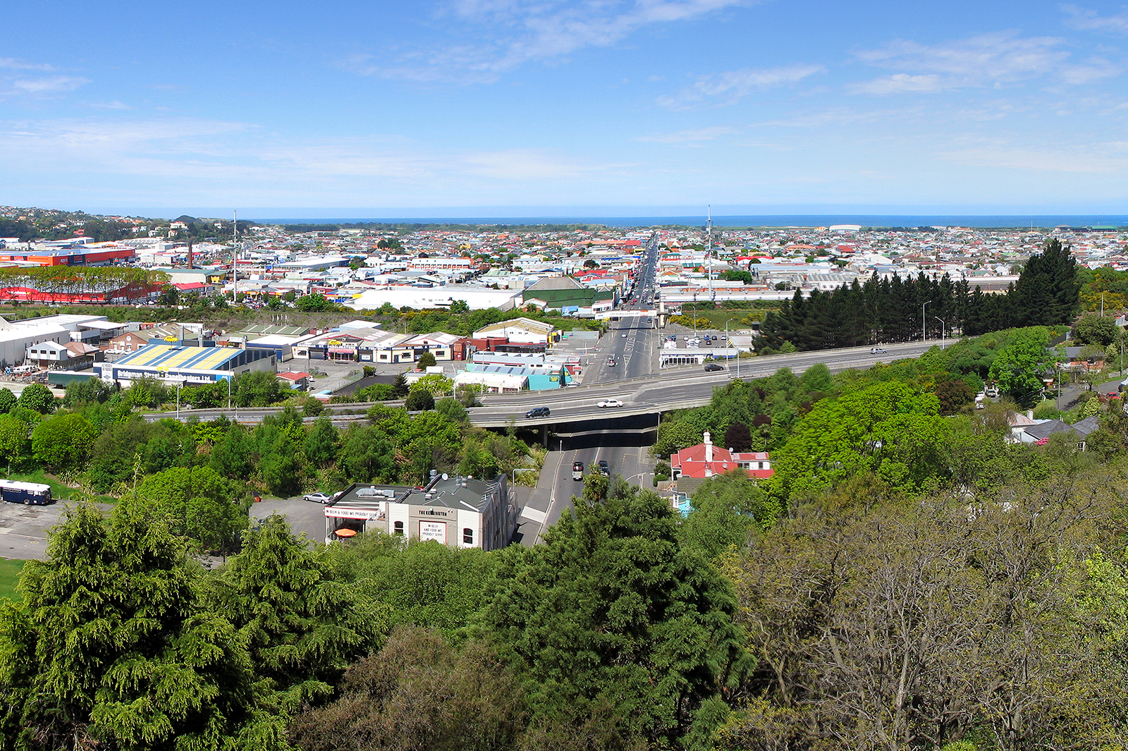 Dunedin South