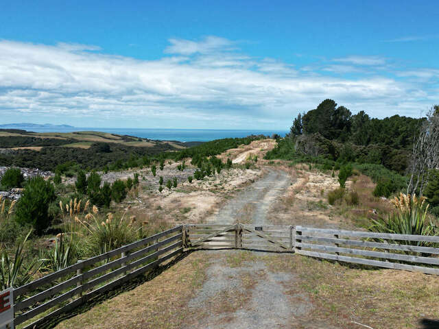 528 Taieri Beach Road