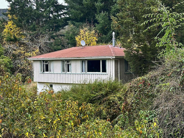 1715 Waipori Falls Road