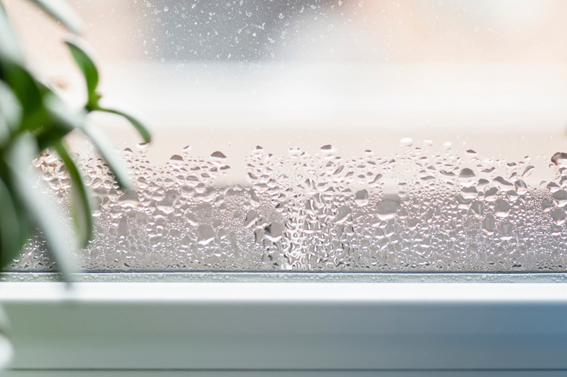 Condensation, Mould & Mildew
