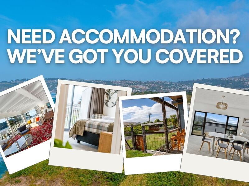 Spend the Holidays in Dunedin with Edinburgh