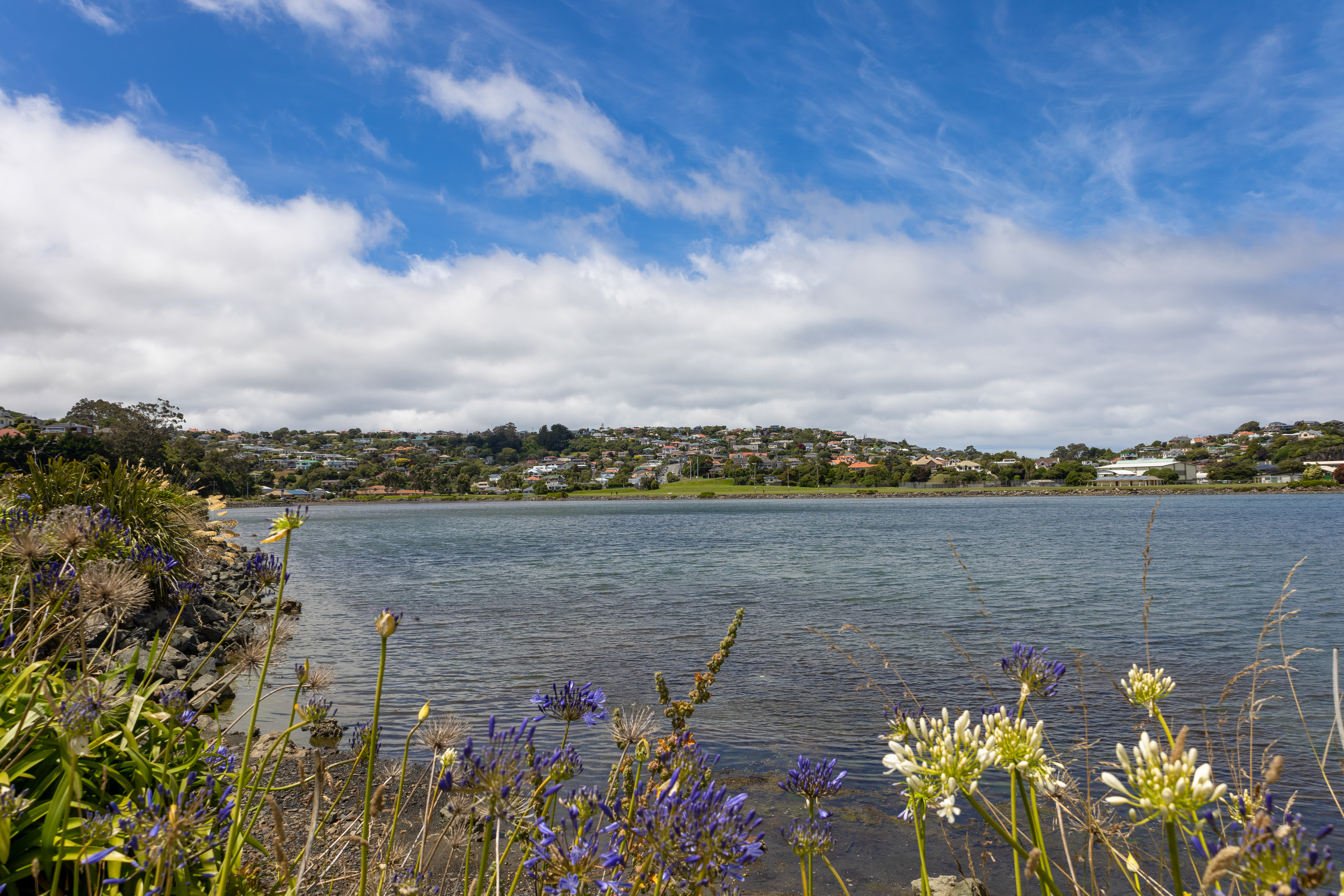 Fast Food & Takeaways