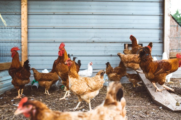 Six top tips for easier, greener waste management