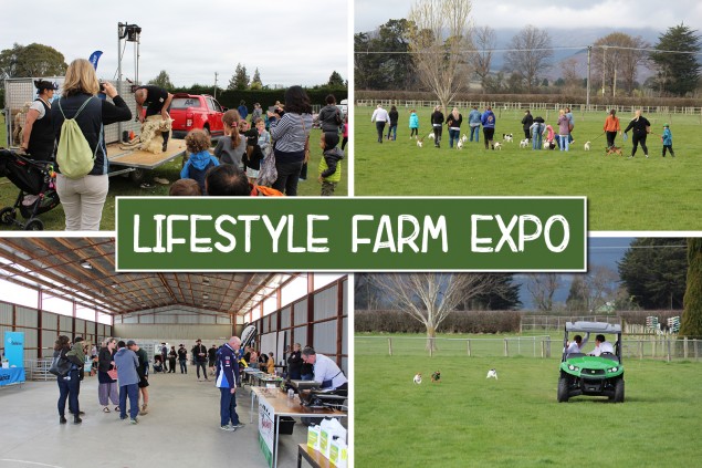 Lifestyle Farm Expo: A fun day out for all