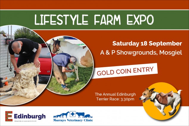 The 2021 Lifestyle Farm Expo + Annual Terrier Race