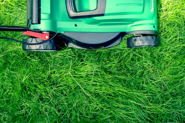 Six Top Tips for a tip-top summer lawn