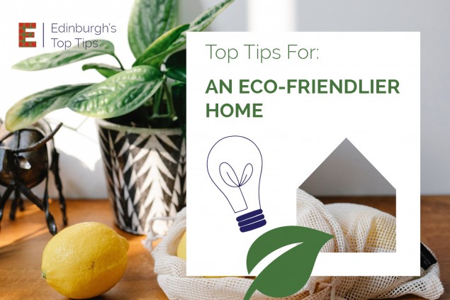 Six top tips for an eco-friendlier home