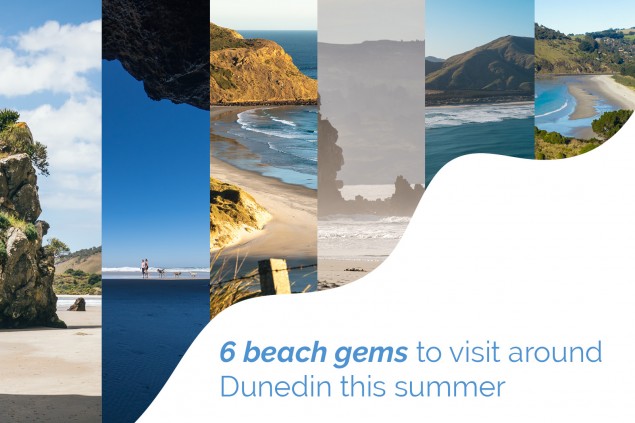 Six beach gems to visit around Dunedin this summer 