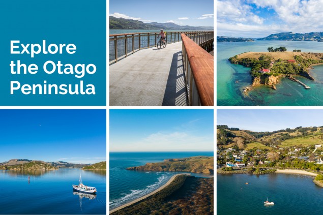 Top summer tip: Explore the Otago Peninsula